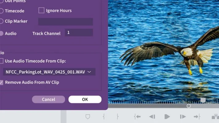 دوره آموزش چگونه آن کار را در پریمیر پرو انجام دهم Linkedin - How Do I Do That in Premiere Pro