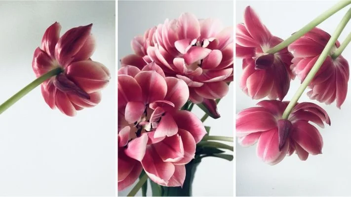 دوره آموزش هنر ترکیب عکس Linkedin - The Art of Photo Composition
